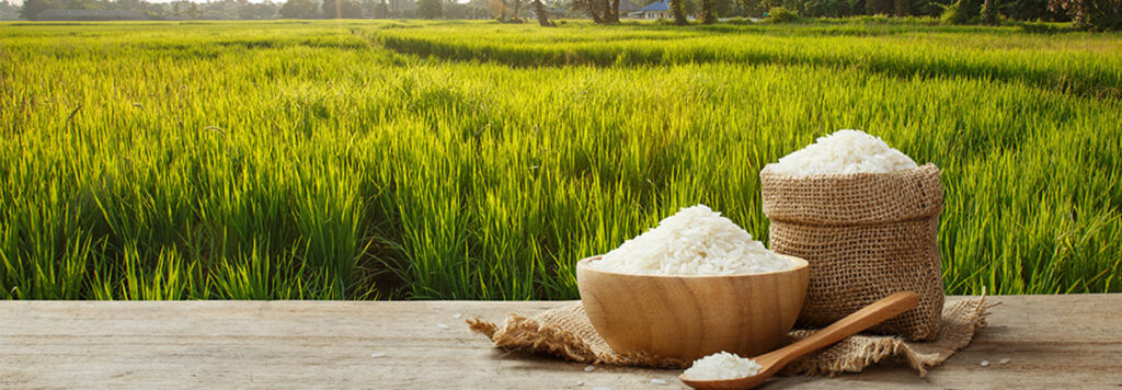 rice-range-banner